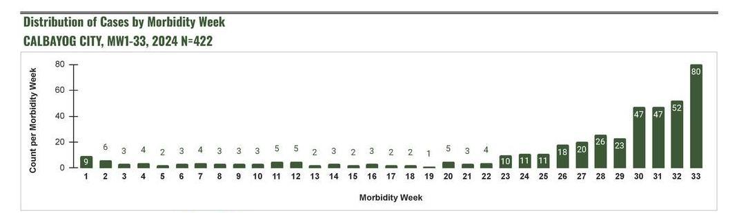 CALBAYOG CITY UNDER A STATE OF CALAMITY DUE TO DENGUE OUTBREAK